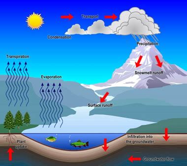 What is Earth Science? | Geology.com