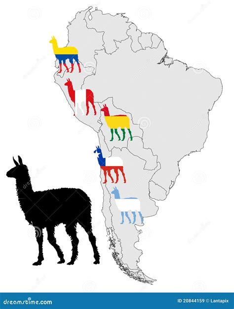 Llama Range Map Cartoon Vector | CartoonDealer.com #20844159