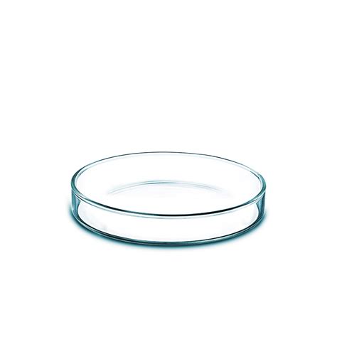 Petri Dish - Glass, 10x10x2 cm - CELLINK