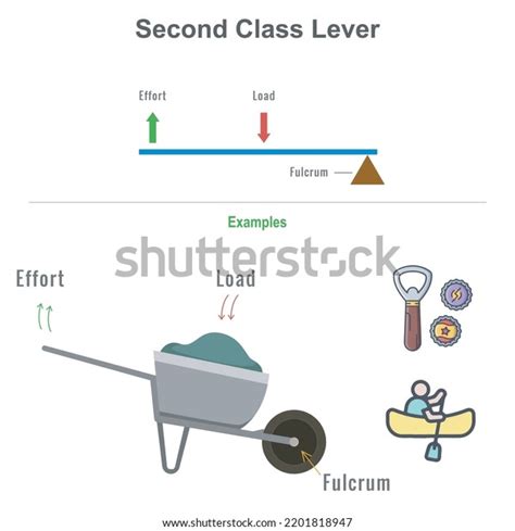 Second Class Lever Educational Diagram Including Stock Vector (Royalty Free) 2201818947 ...