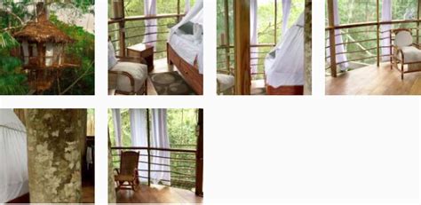 Stay in the Amazon jungle canopy at the unique Treehouse Lodge