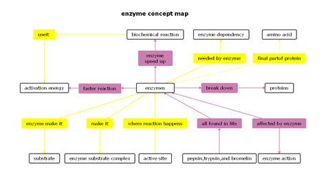 Biology Concept Map Complete Guide with 30+ Examples | EdrawMind