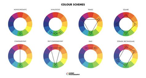 What Are Complementary Colors How To Use Them In Photos | expertphotography