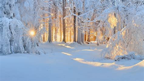 Winter Nature Wallpaper (74+ images)