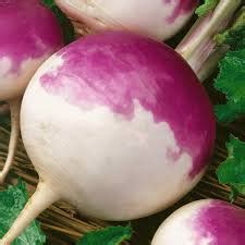 Turnip Purple Top - Buy Online Vegetable, Flower Seeds Garden tools