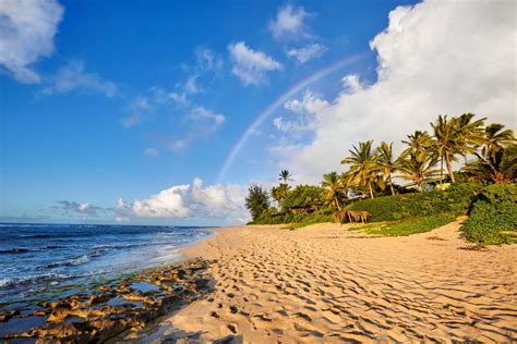 Hawaii Weather Today » Hawaiian Beaches