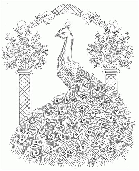 Free Adult Coloring Pages Peacock, Download Free Adult Coloring Pages Peacock png images, Free ...