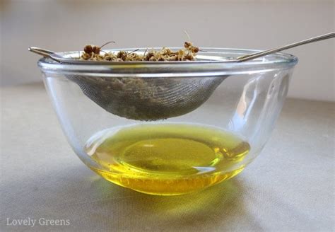 Homemade Chamomile Lotion Recipe • Lovely Greens