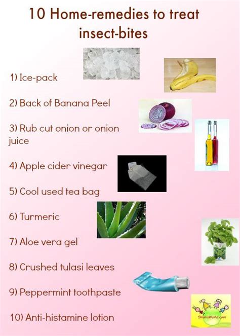 First Aid/ Home Remedies for Insect Bites - ShishuWorld