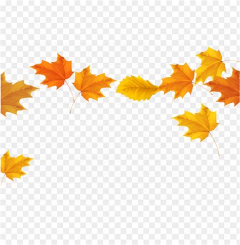 Fall Border Clipart Fall Leaves Border Clipartfall - Clip Art Free Autumn Leaves PNG Transparent ...