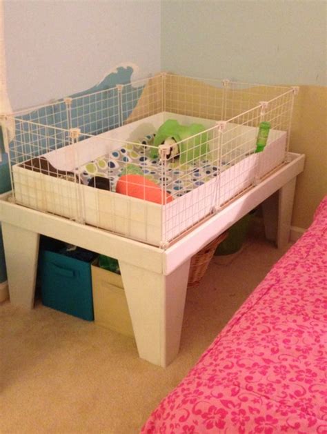 11 DIY Guinea Pig Cage Ideas | DIY Projects | DIY Projects