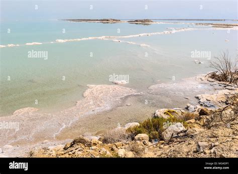 Dead sea salty water Stock Photo - Alamy