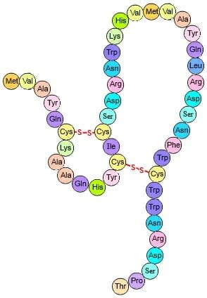 Henry's Home: Tertiary Structure