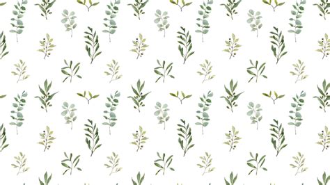 20 Sage Green Aesthetic Wallpaper Backgrounds (FREE)