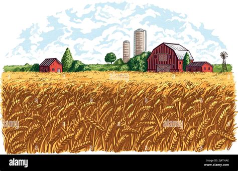 farm hand drawing sketch engraving illustration style vector Stock Vector Image & Art - Alamy