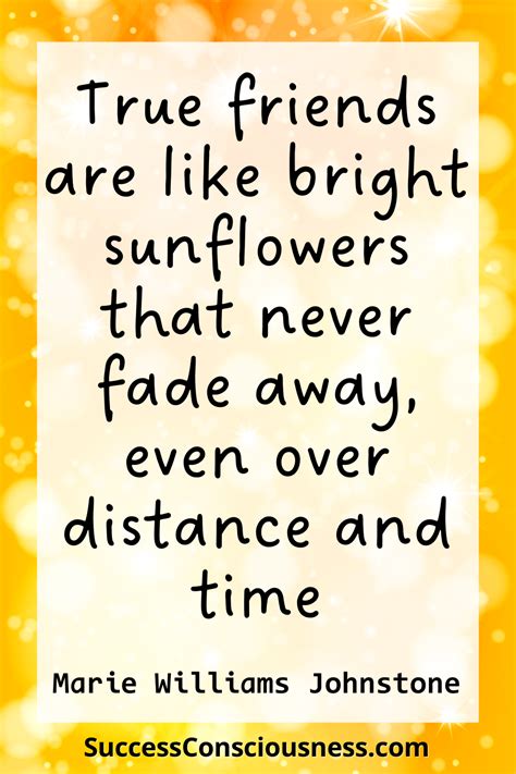 42 Sunflower Quotes to Inspire and Brighten Your Life | Sunflower quotes, Inspirational quotes ...