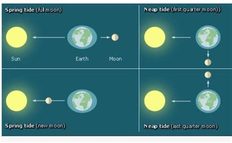 What are neap tides and spring tides? - Quora