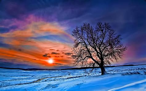 Winter Sunrise Nature Wallpapers - Top Free Winter Sunrise Nature Backgrounds - WallpaperAccess