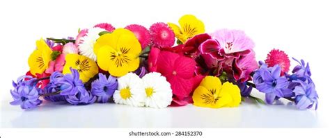 Beautiful Bouquet Bright Flowers Isolated On Stock Photo 282078620 | Shutterstock