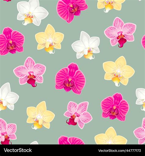 Pink and yellow orchids seamless pattern Vector Image