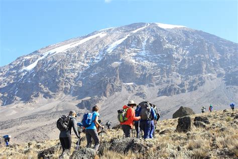 8 Days Mount Kilimanjaro Hiking Tour via Lemosho Route | Trip Ways