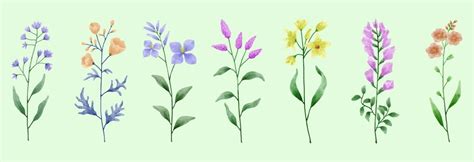 Watercolor Flower Vector Art, Icons, and Graphics for Free Download