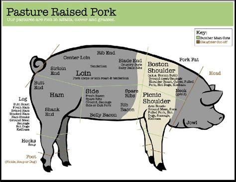 Pork Cuts Of Meat Diagram