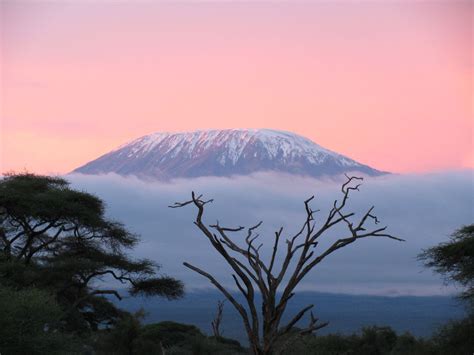 Sunrise on Mount Kilimanjaro | Smithsonian Photo Contest | Smithsonian Magazine