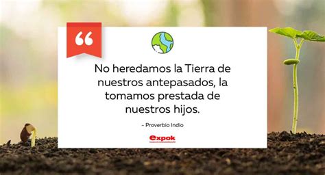 50 frases sobre el Día de la Tierra