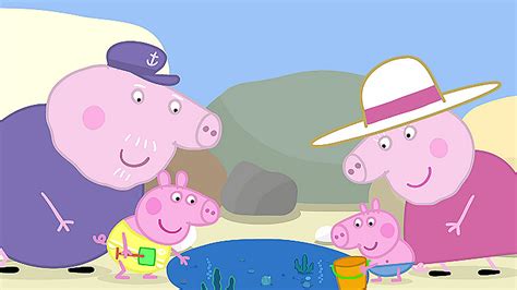 Watch Peppa Pig Season 2 Episode 2: Rock Pools/Mr. Scarecrow/Windy - Full show on CBS All Access