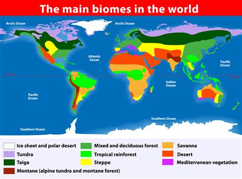 World Biome Map Coloring Worksheet – Zip Worksheet