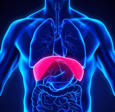 Diaphragm Paralysis - Dr. Min Kim | Thoracic Surgeon Houston Texas