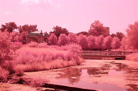 LifePixel Digital Camera Infrared IR Conversion. Sample infrared photographs - 11