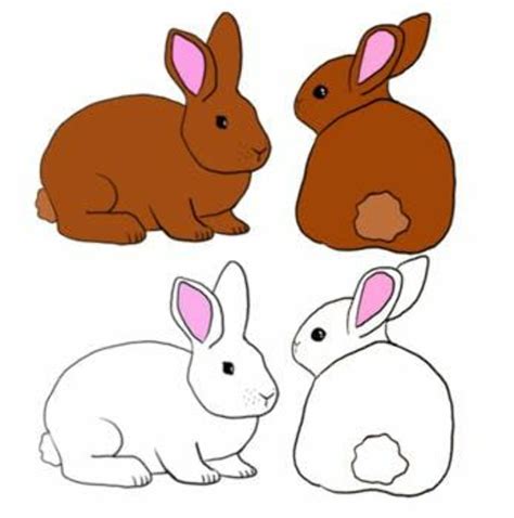 Download High Quality bunny clipart small Transparent PNG Images - Art Prim clip arts 2019