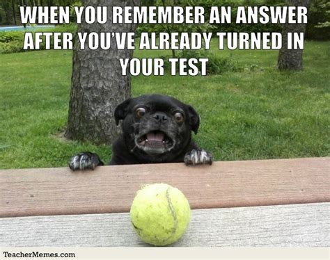 40 Tennis Ball Memes - Easy Family Fun- Games, Trivia, and Jokes