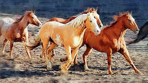 Wild Horses Running Painting by Clarence Alford - Pixels