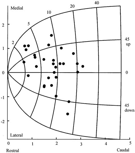 Estimated location on the superior colliculus motor map of the sample... | Download Scientific ...