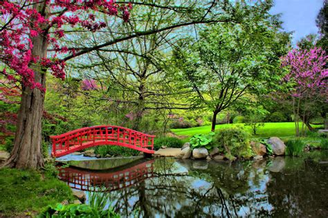 Japanese Garden Red Bridge | Designhaus Architecture