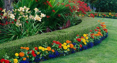 Attractive Landscaping Ideas for Any Property - ALD