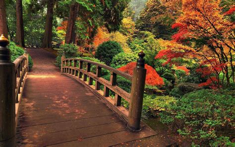 Japanese Garden Wallpaper Android at Vickie Mapp blog