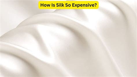 How Much Does Silk Fabric Cost? Complete Guide