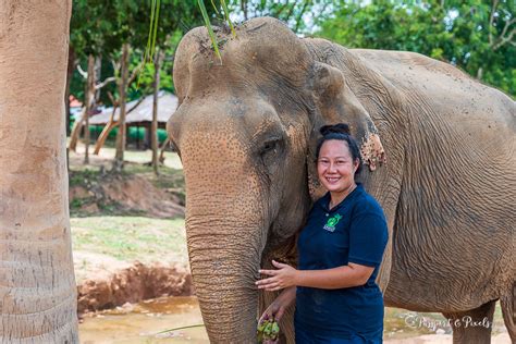 Visiting The Delightful Koh Samui Elephant Sanctuary Thailand