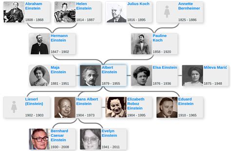 Albert Einstein Family Tree 2024 - Chris Delcine