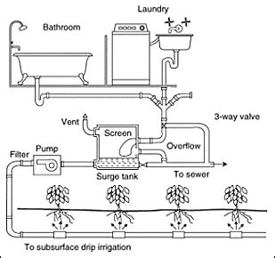 Greywater and/or Dual Plumbing System Installation Tips