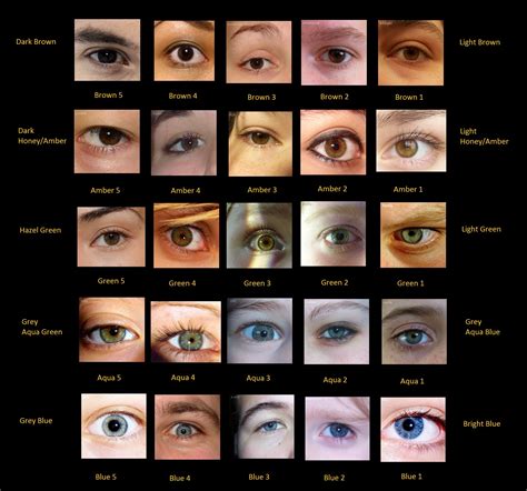 Human Eye Color Chart With Names Images & Pictures - Becuo