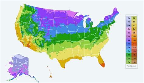 Planting Zones Map - Find Your Plant Hardiness Growing Zone | Planting zones map, Plant ...