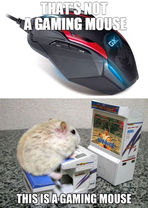 The Best Gaming Mouse