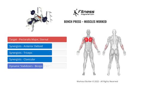 How To A Barbell Bench Press | Muscles Worked And Benefits