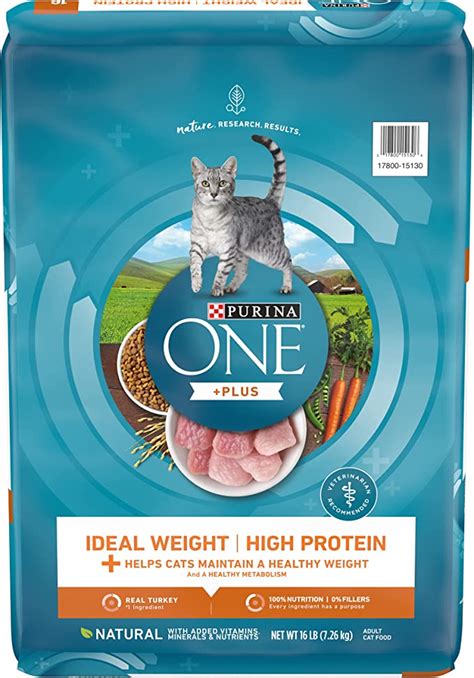 The 7 Best High-Protein Cat Foods: Reviews and Our Top Picks - Veterinarians.org