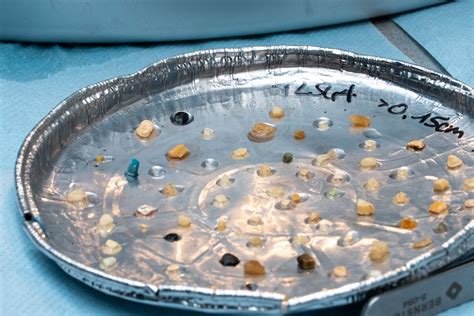 What are microplastics and macroplastics? | The Ocean Cleanup